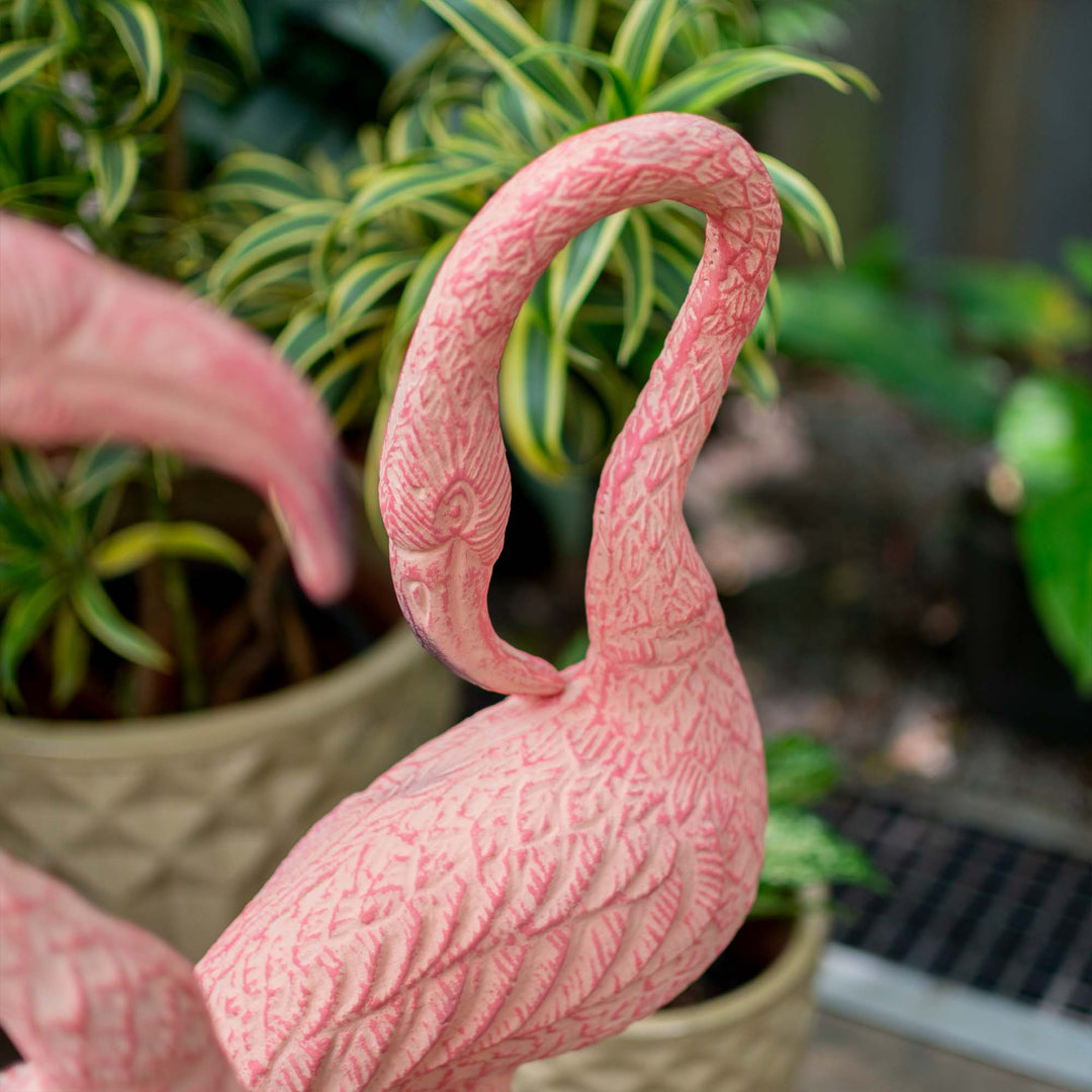 Flamingo With Head Facing Down