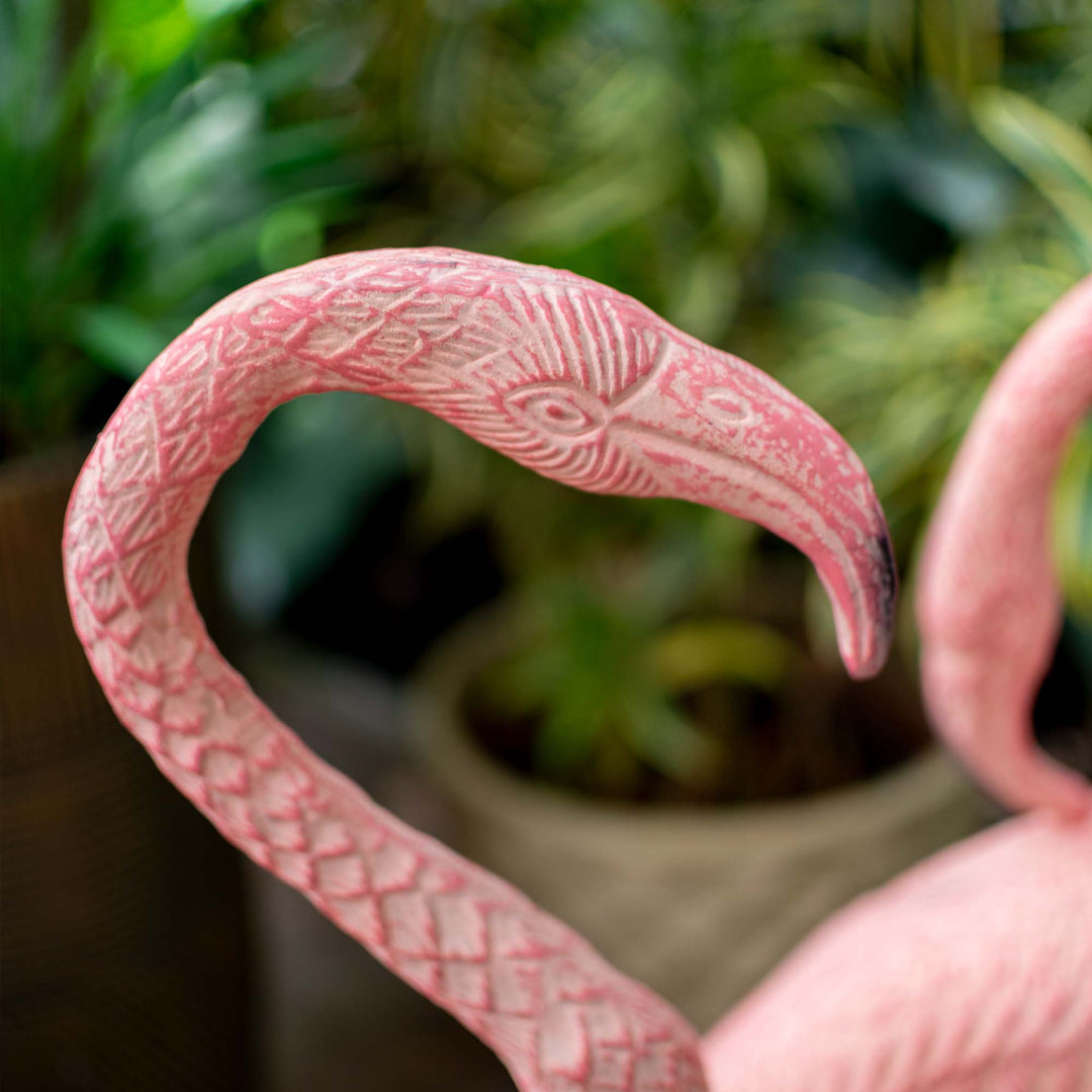 Flamingo With Head Facing Up