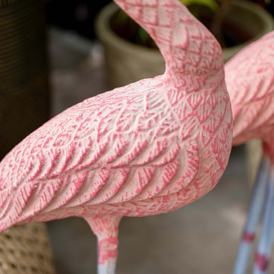 Flamingo With Head Facing Down