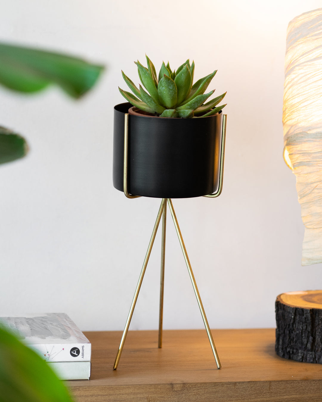 Black planter with golden stand