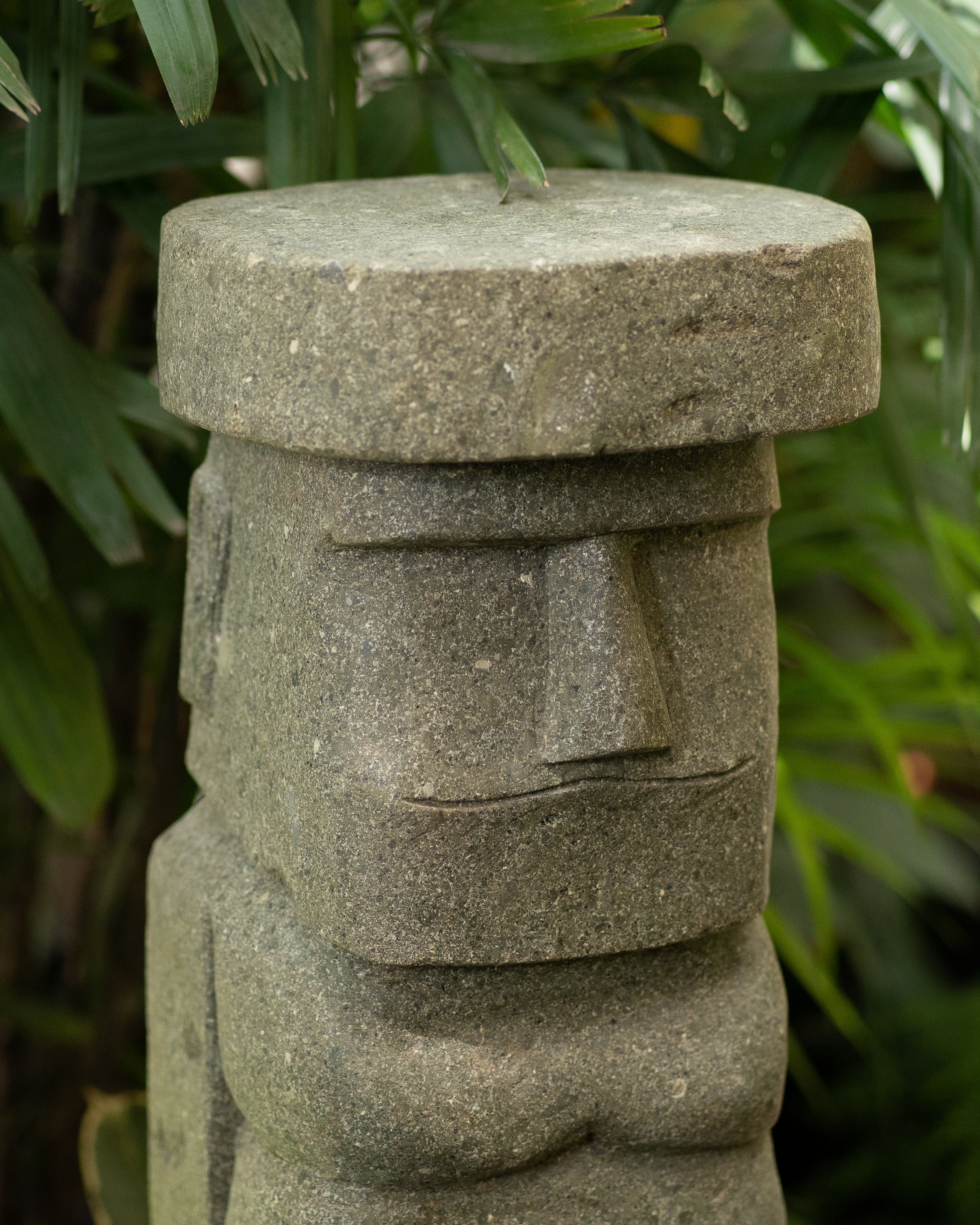 Head Pot Stand