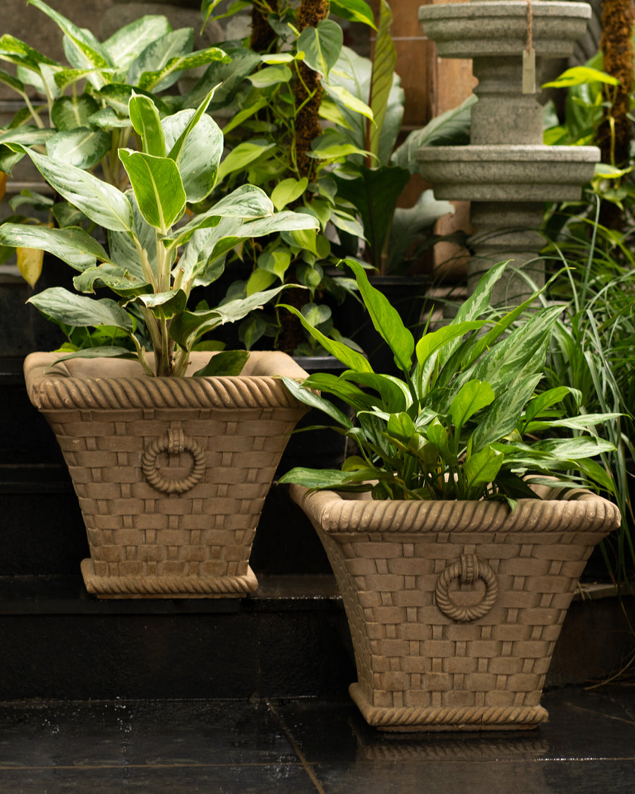 Square Shaped Stone Planter