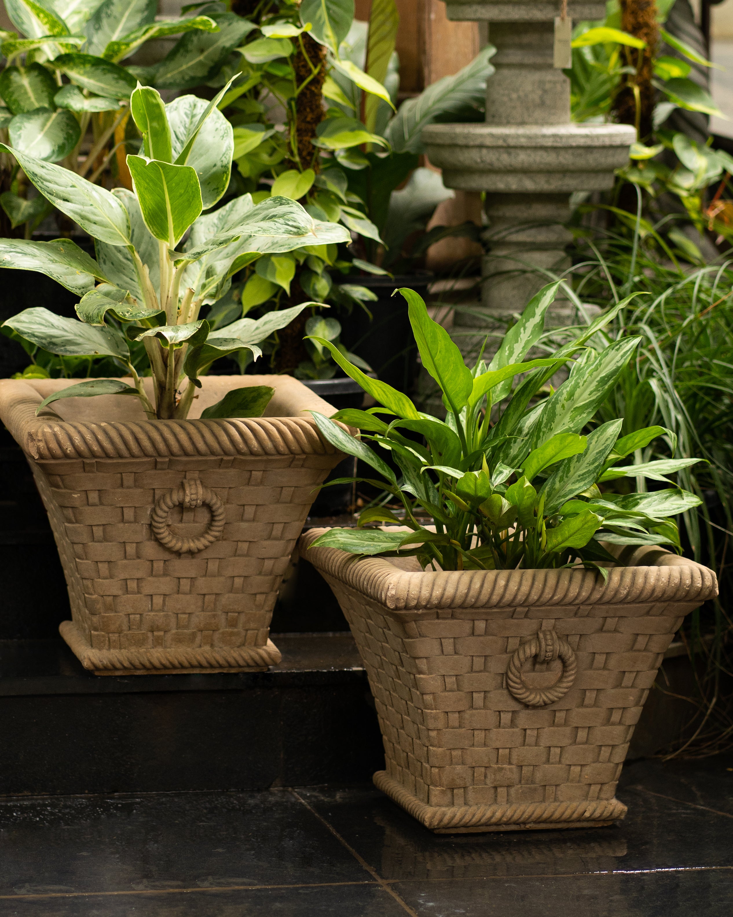 Square Shaped Stone Planter