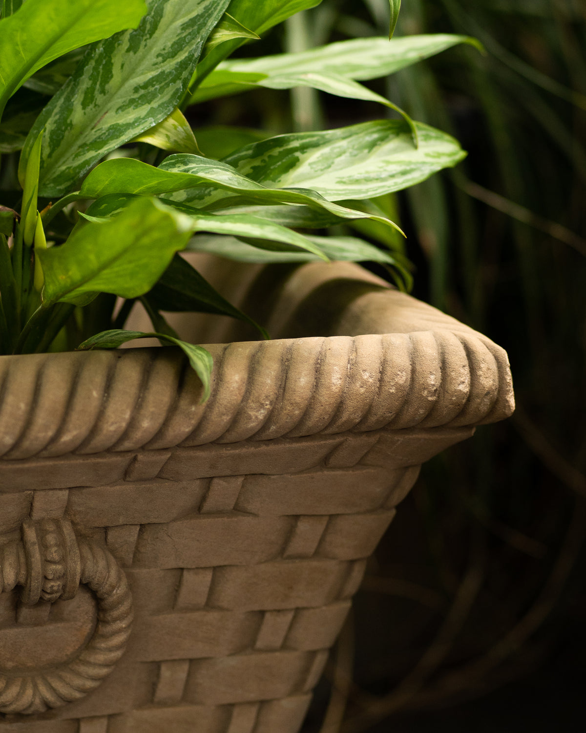 Square Shaped Stone Planter