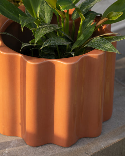 Balmy Waves Medium Coral Pink Planter
