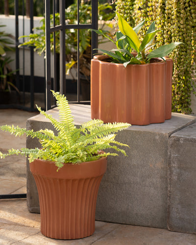 Balmy Waves Medium Coral Pink Planter