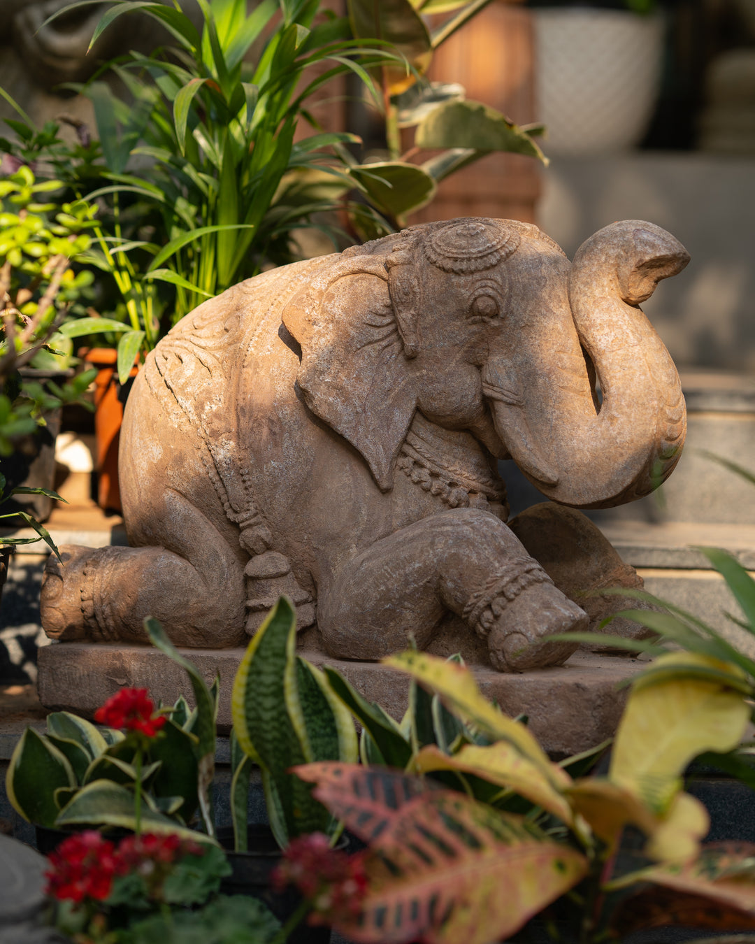 Seated Elephant