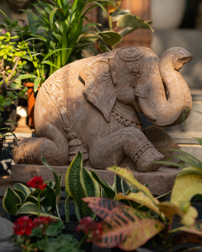 Seated Elephant