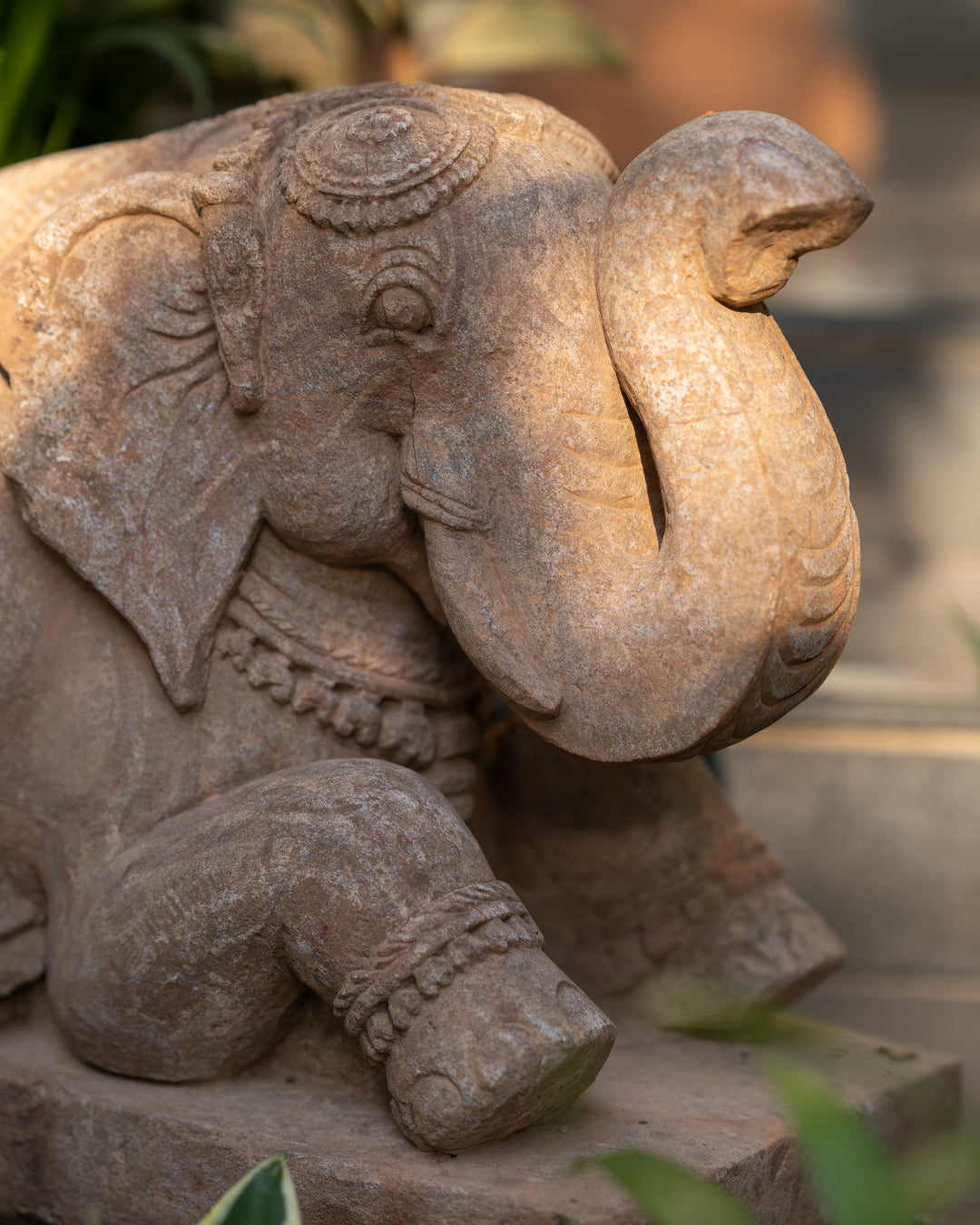 Seated Elephant