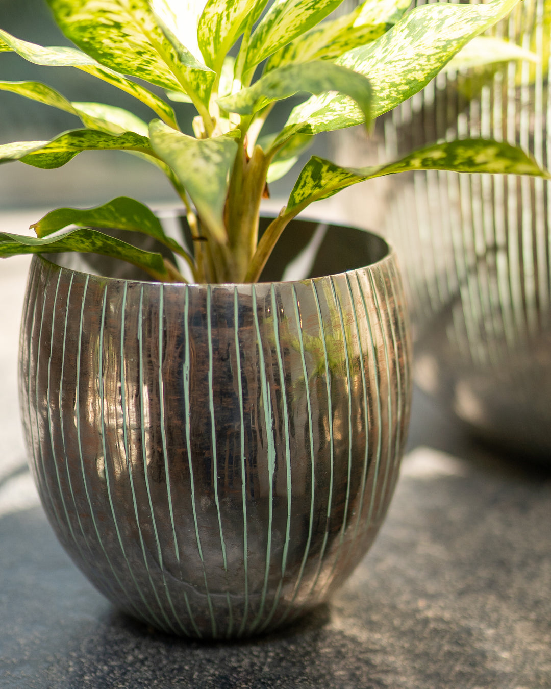 Round Textured Metal Pot - Medium