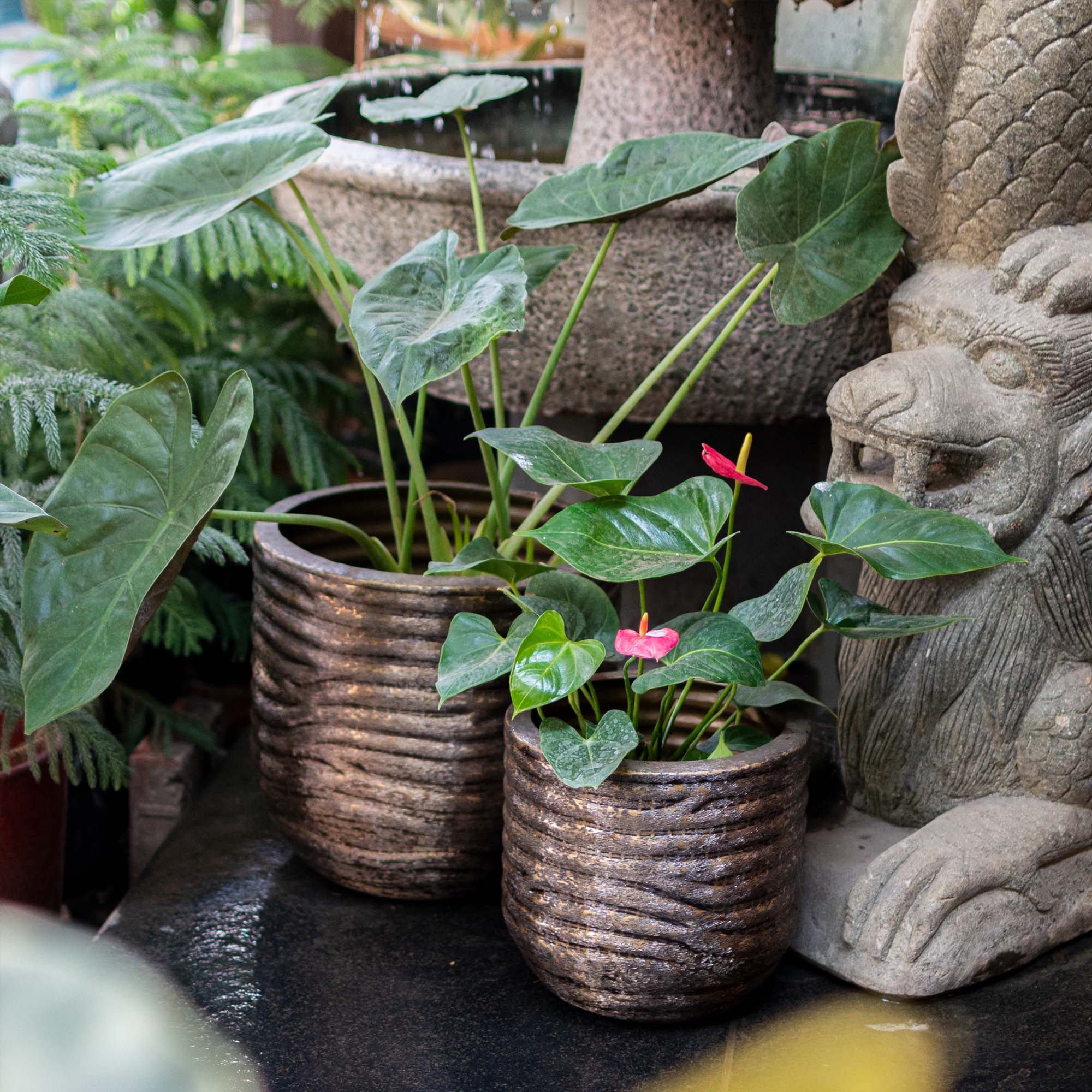 Textured Round Pot