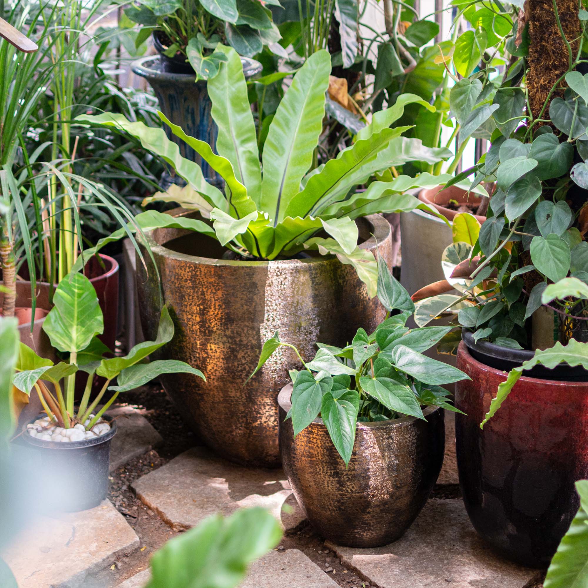 Metal Pot