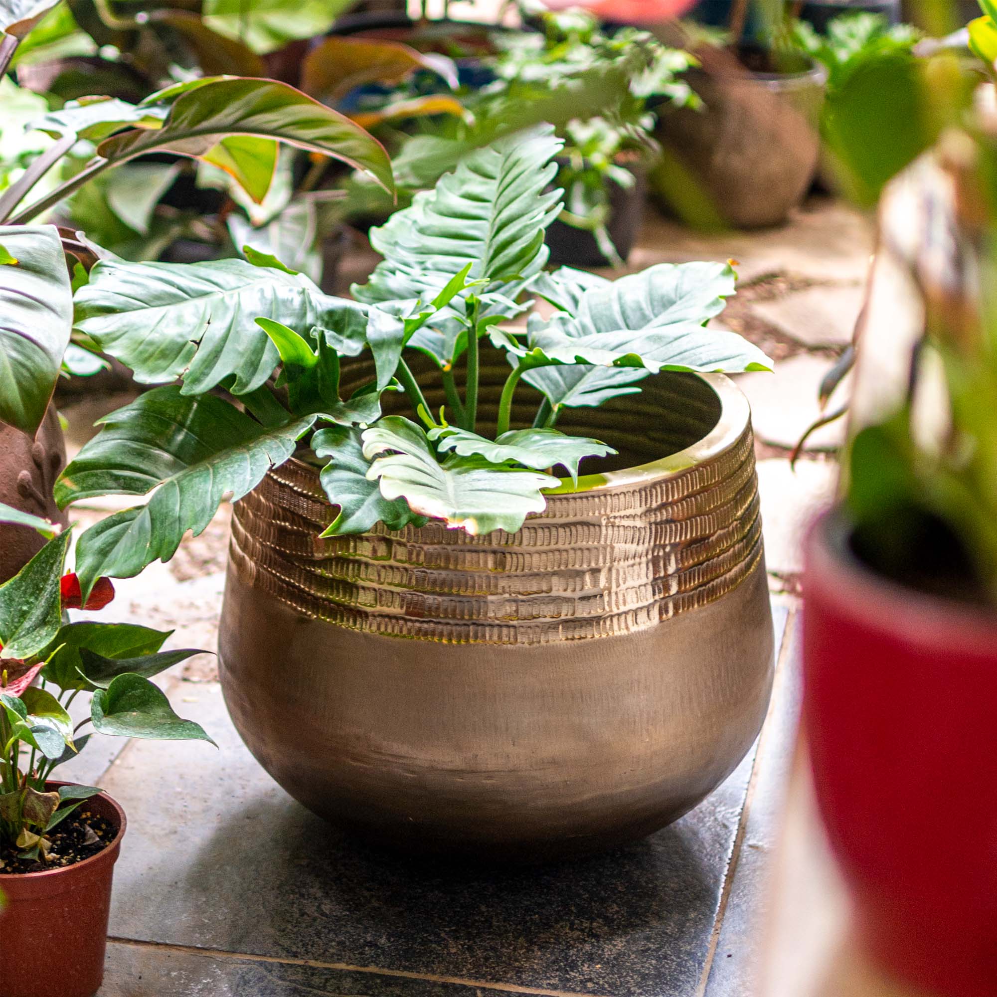 Wide Mouth Pot with Small Base