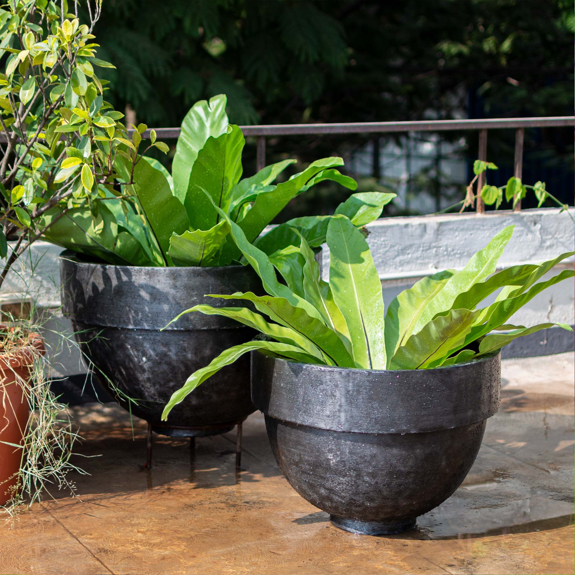 Rim Metal Pot