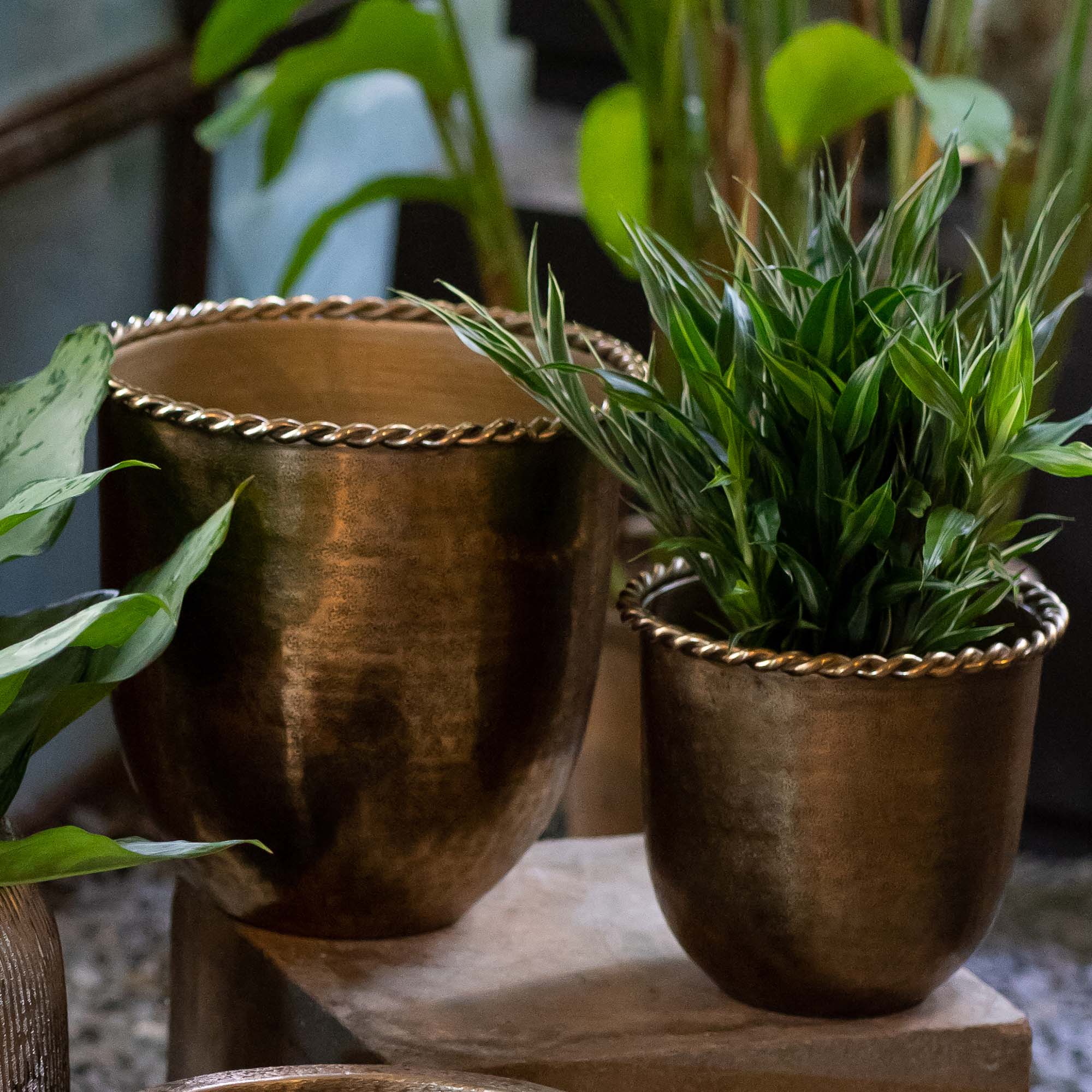 Pot Oblong Braided Rim