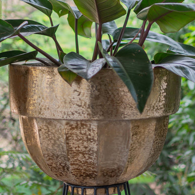 Planter With Iron Stand