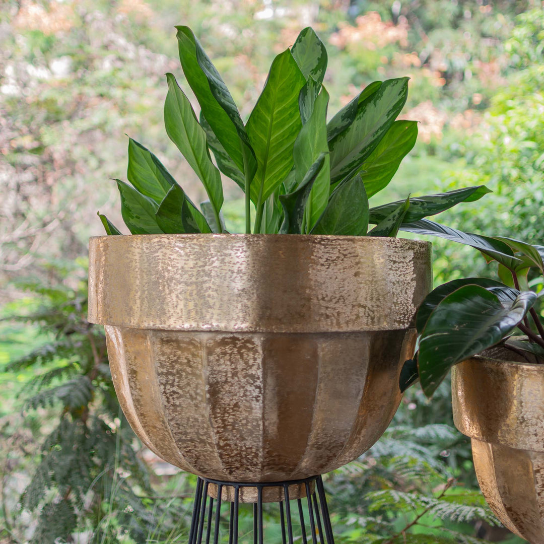 Planter With Iron Stand