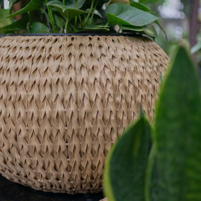 Fishbone Round Planter