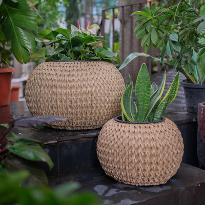 Fishbone Round Planter