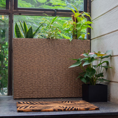 Polyrattan Planter Three in One