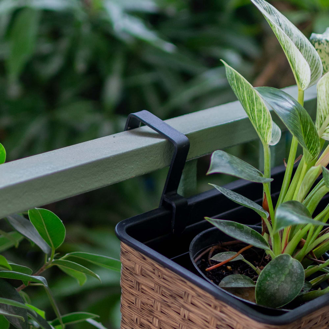 Polyrattan Hanging Planter