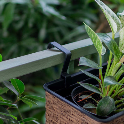 Polyrattan Hanging Planter