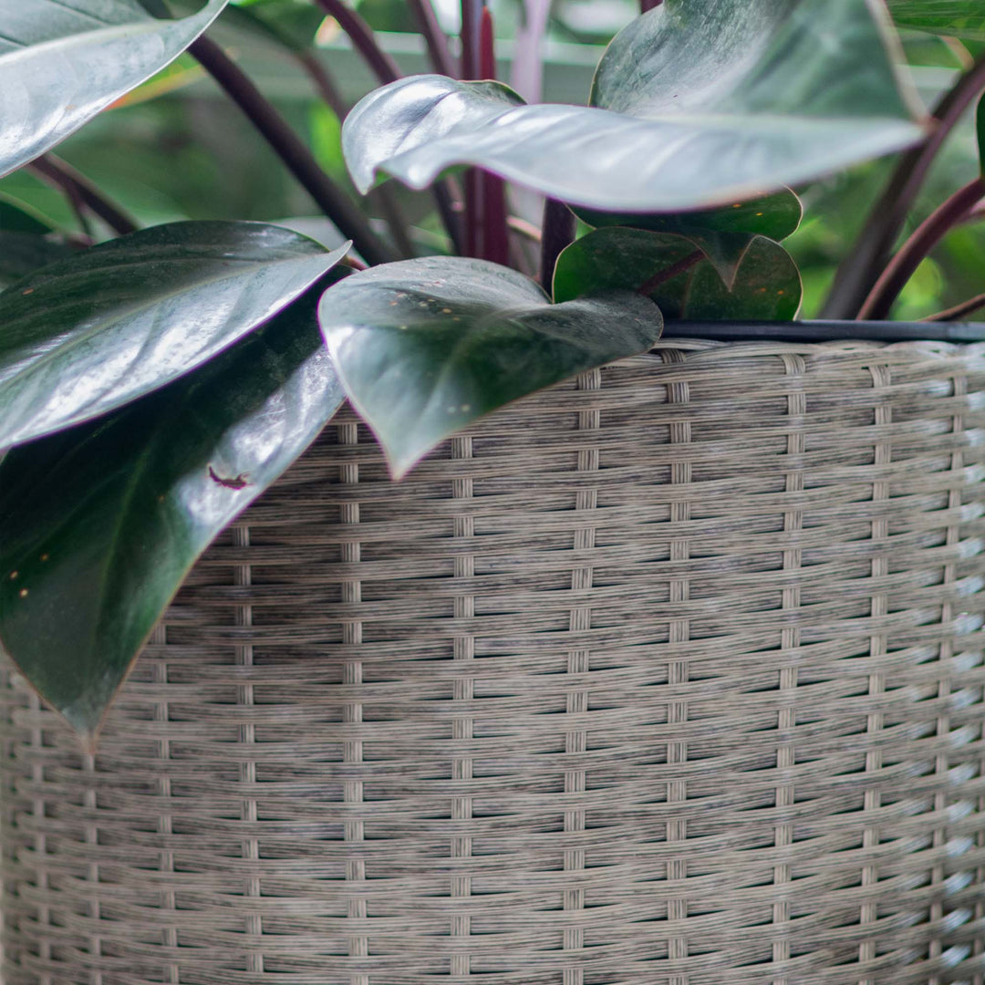 Flat Wicker Planter