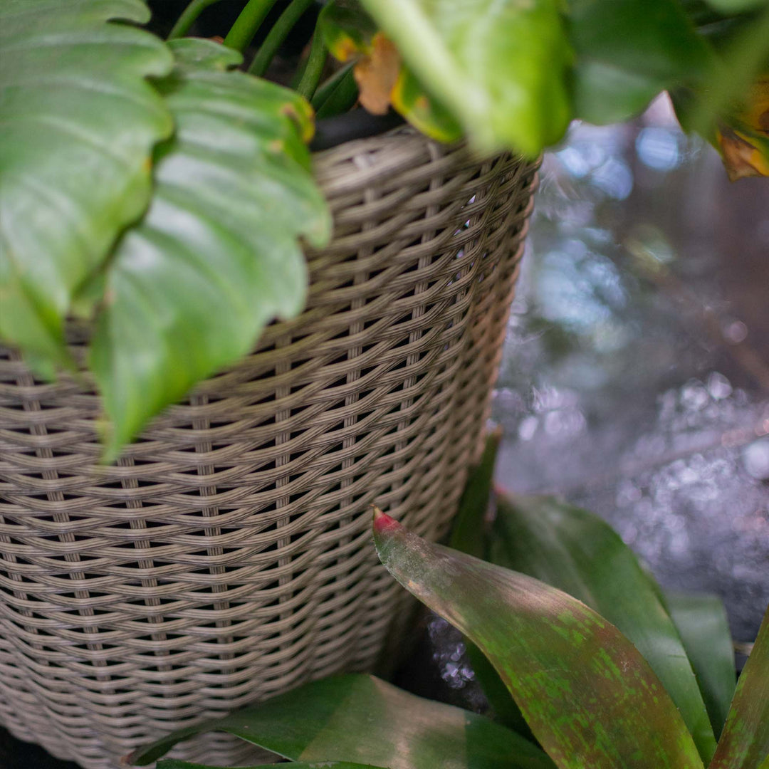 Flat Wicker Conical Planter