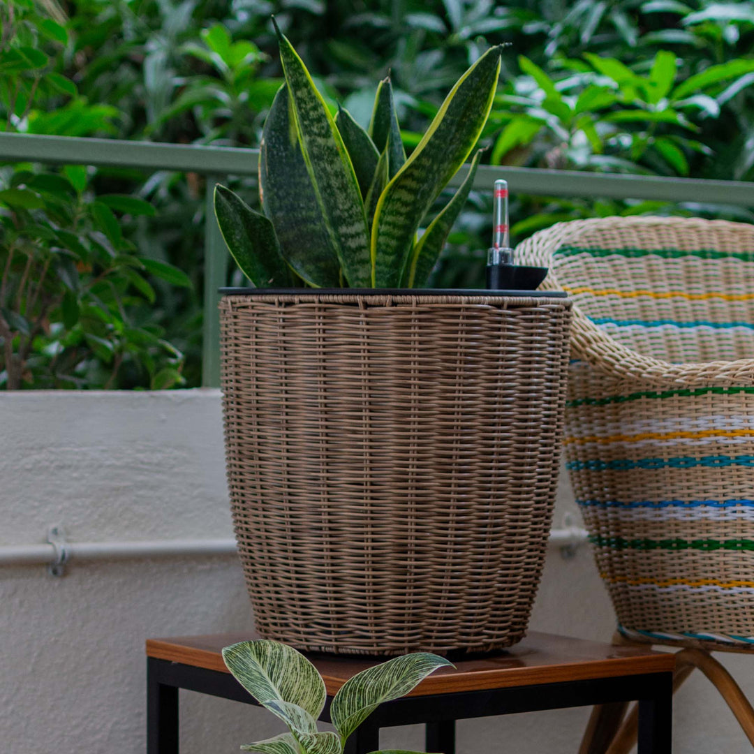 Self Watering Planter