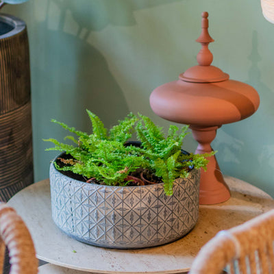 Sarah Oxidized Round Metal Planter