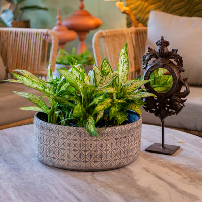 Sarah Oxidized Round Metal Planter