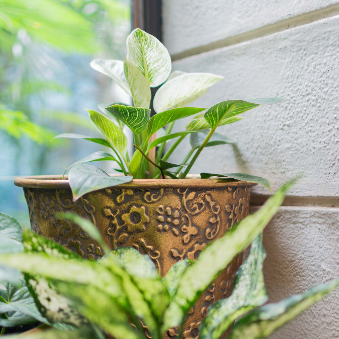 Metal Floral Wide Planter