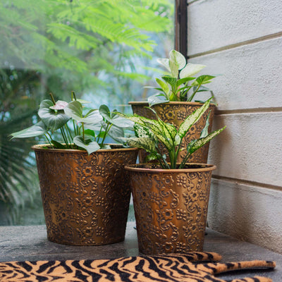 Metal Floral Wide Planter