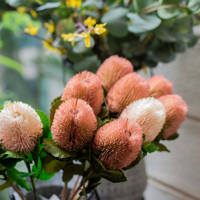 Faux Banksia Flower with Foliage in Dusty Pink