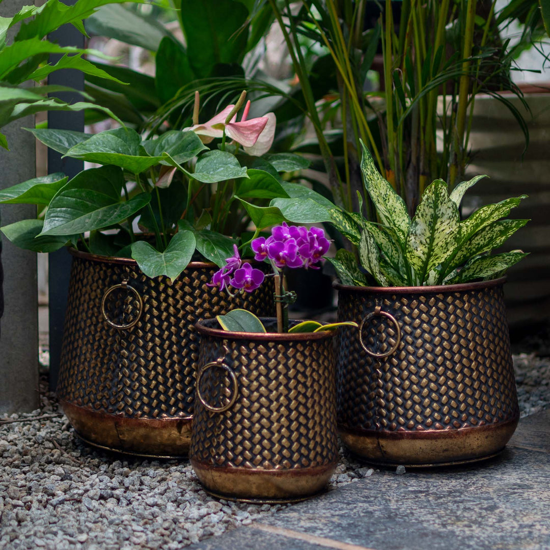 Ruth Metal Planter With Ring Holder