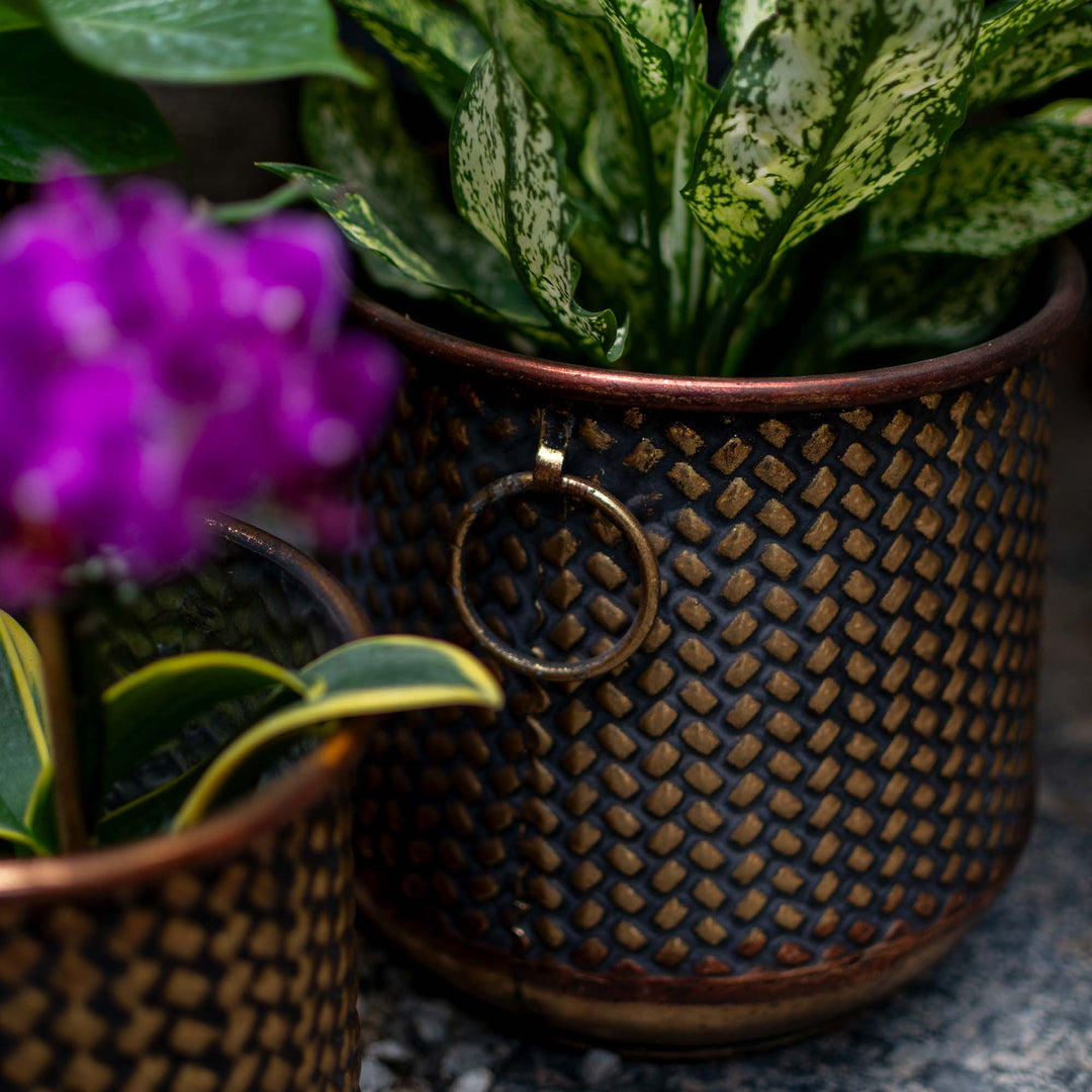 Ruth Metal Planter With Ring Holder