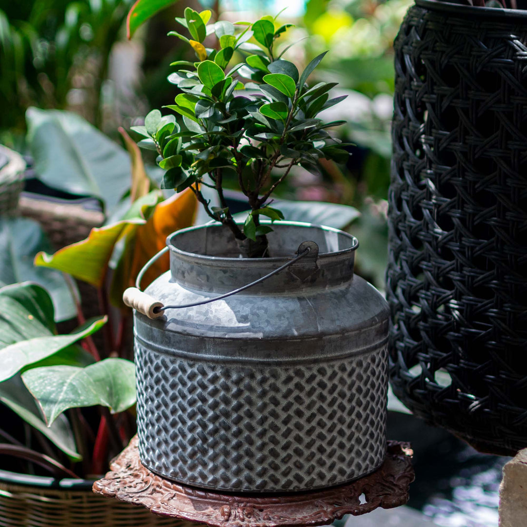 Ruth Metal Kettle Planter With Holder - Grey