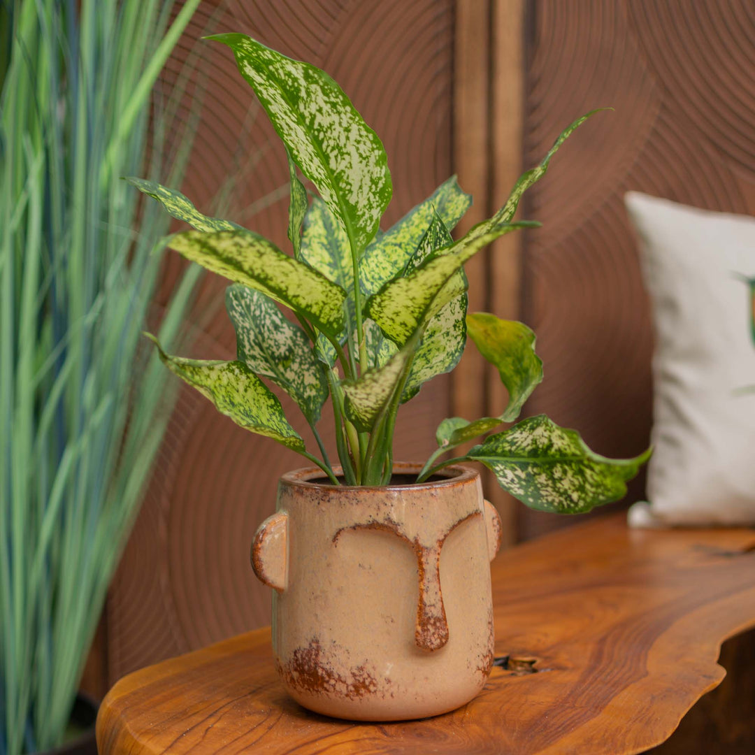 Ceramic Face Vase