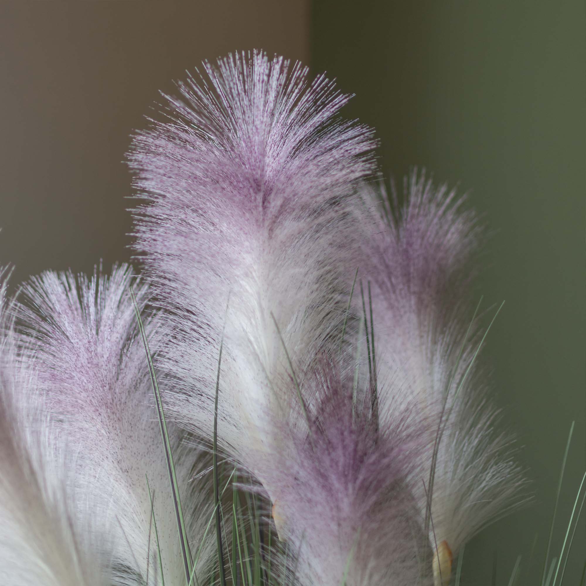 Faux Reed Grass With Pot - 3.5 Feet