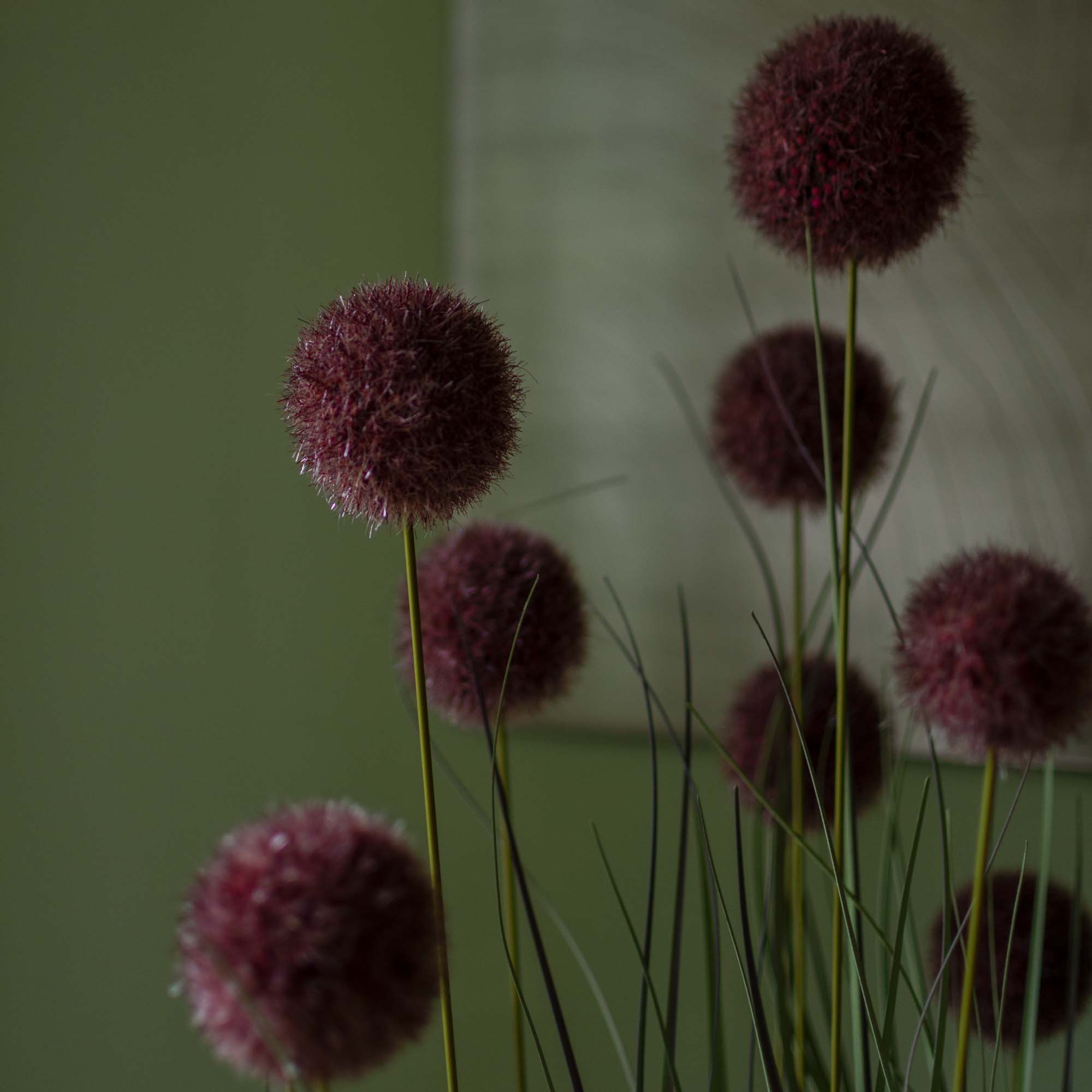 Faux Pompon Grass With Pot - 4 Feet
