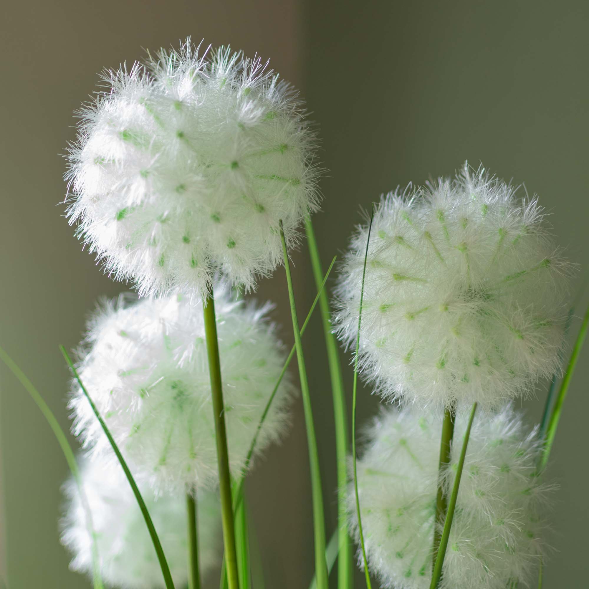 Faux Dandelion Grass With Pot - 4 Feet