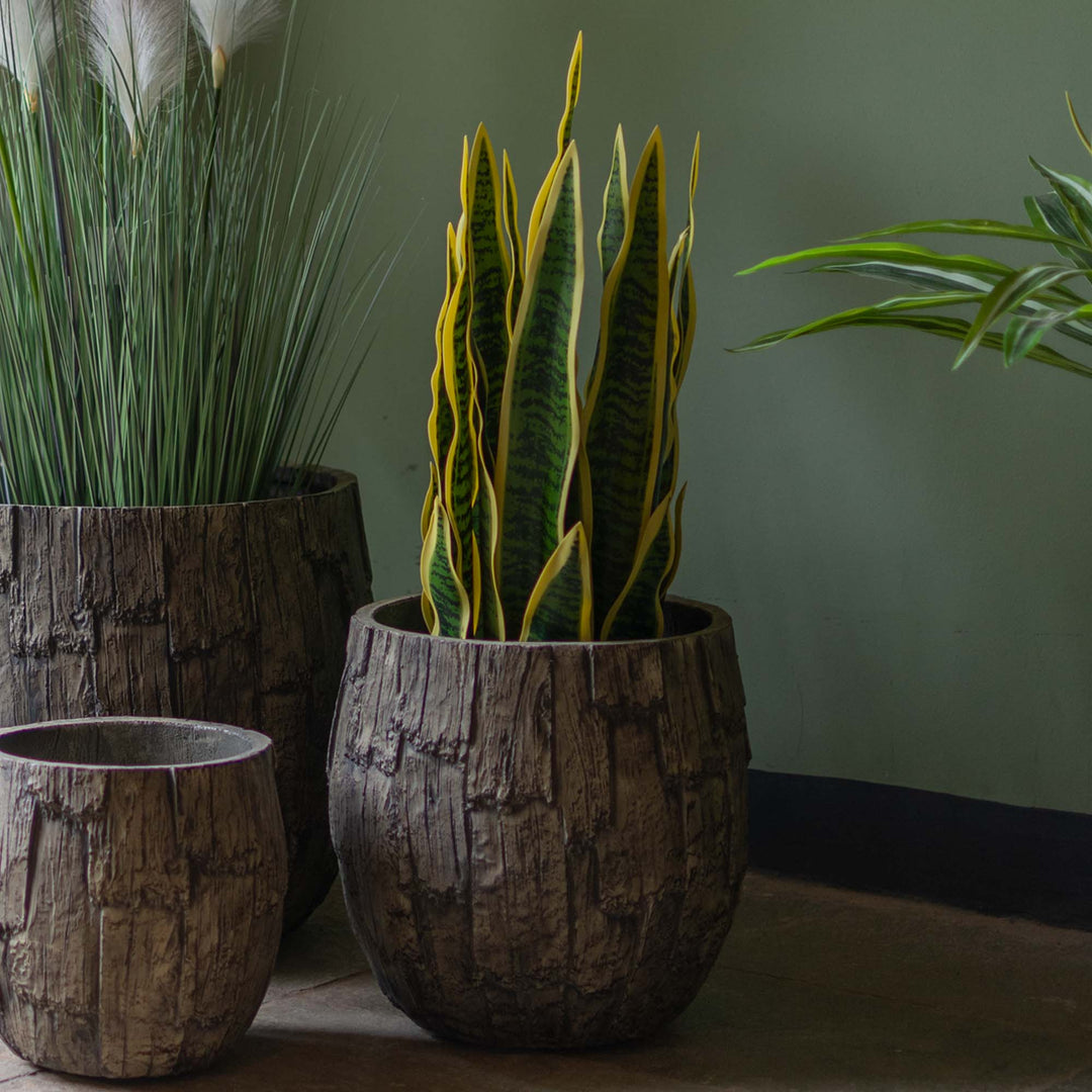 Faux Snake Plant With Pot
