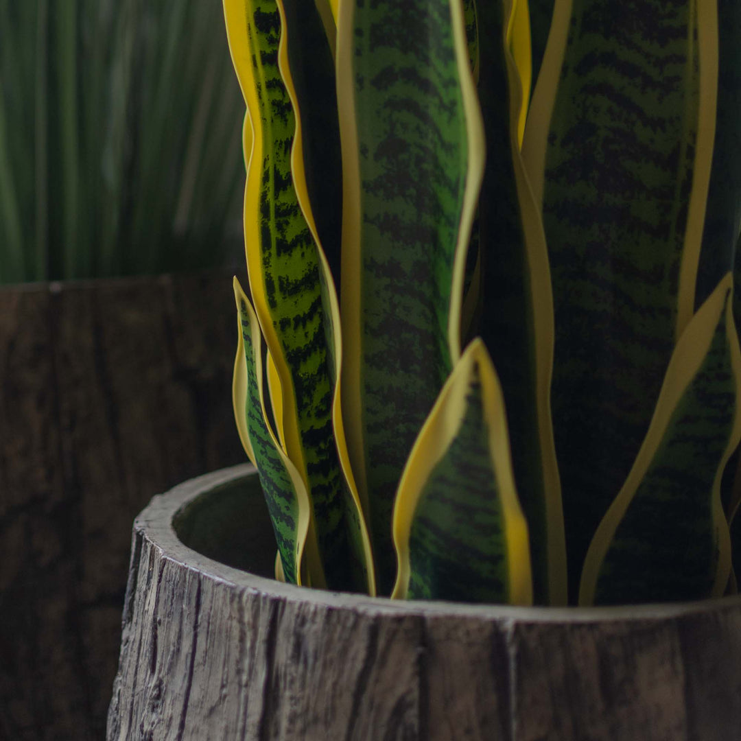 Faux Snake Plant With Pot