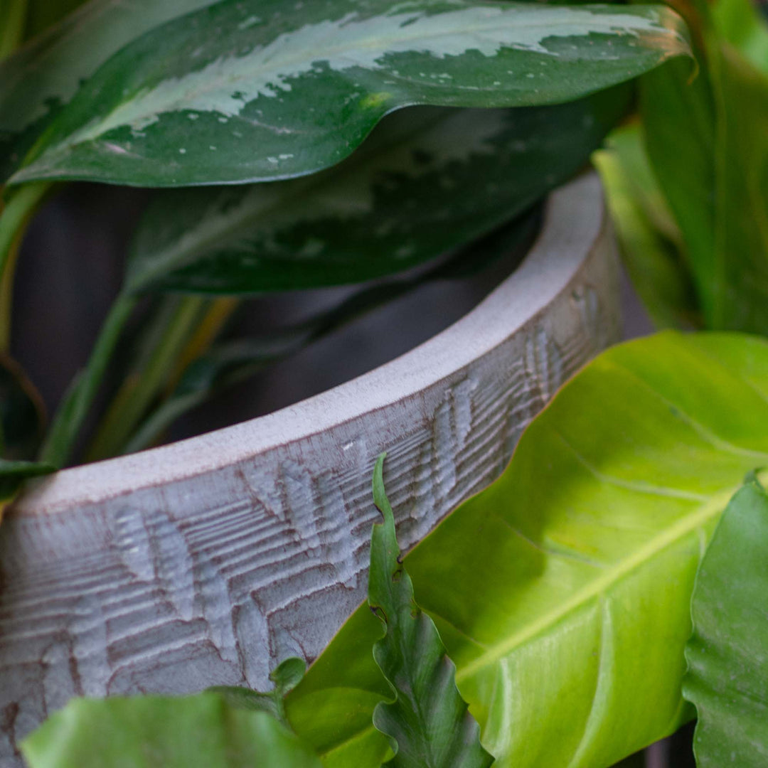 Tapered Round Planter