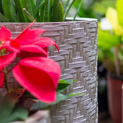 U Shaped Beige Planter