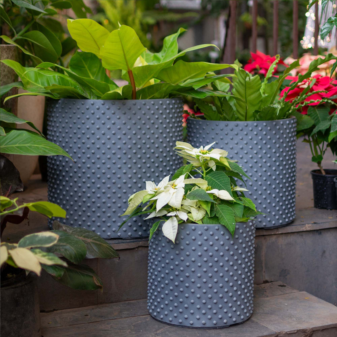 Tube Shaped Planter