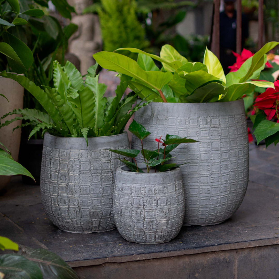 Tapered Grey Planter