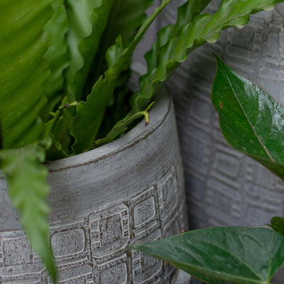 Tapered Grey Planter