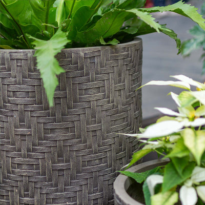 Tube Planter With Wooden Leg