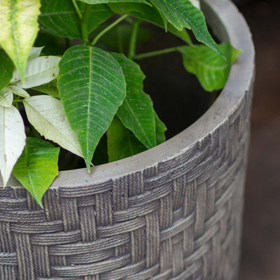 Tube Planter With Wooden Leg